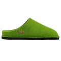 Farb-Variante grasgrün