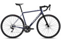 Variante dark violet cameleon-silver-glossy