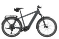 Variante slate grey