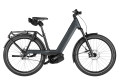 Variante slate grey