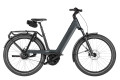 Variante slate grey