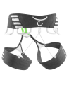 Artikelbild 2