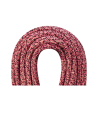 Artikelbild 2