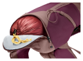 Artikelbild 5